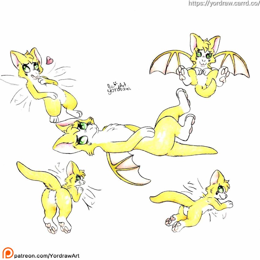 3_toes ass_up belly butt butt_grab crotch_focus crotch_lines featureless_crotch feet female feral flying foot_fetish foot_focus fur grabbing_belly green_eyes hand_on_butt legs_in_air lying on_back patreon_logo patreon_username pawpads paws pink_pawpads presenting presenting_crotch presenting_hindquarters raised_tail satisfaction smile solo spread_legs spreading tail text toes wings yellow_body yellow_fur yordraw dust:_an_elysian_tail patreon fidget_(elysian_tail) bat felid feline mammal nimbat 1:1 hi_res sketch traditional_media_(artwork) url