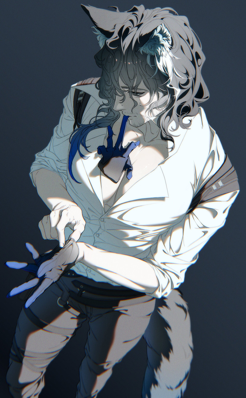 e621 post 6555565