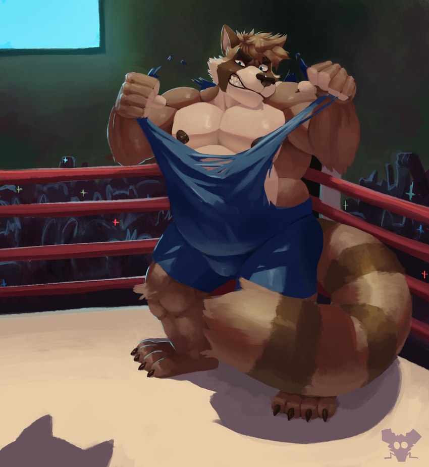 anthro clothing crowd fighting_ring group male musclegut muscular muscular_anthro muscular_male overweight overweight_anthro overweight_male solo torn_clothing wrestling_singlet archiblender ludd mammal procyonid raccoon hi_res