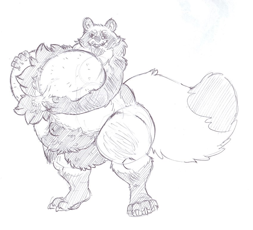 anthro balls ballsack_nipples big_balls body_hair chest_hair genitals hairy hairy_balls huge_balls hyper hyper_balls hyper_genitalia male mature_male null overweight overweight_anthro overweight_male testicle_breasts unusual_anatomy unusual_balls_placement unusual_genitalia_placement min_(artist) canid canine mammal raccoon_dog tanuki hi_res sketch