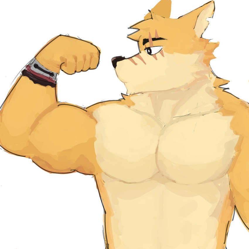 anthro biped countershade_fur countershading eye_scar facial_scar flexing flexing_bicep fur looking_aside male muscular muscular_anthro muscular_male nose_scar pecs scar solo white_body white_countershading white_fur wristband_only yellow_body yellow_fur ubeswt remember_the_flowers cooper_krager canid canine canis mammal wolf 1:1 2024 hi_res