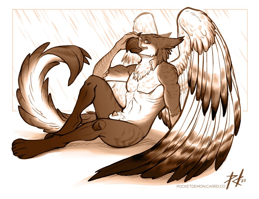 animal_genitalia anthro athletic feathered_wings feathers feet fur genitals leg_markings male markings nude penis penis_tip pose sheath simple_background sitting solo striped_markings stripes talons thigh_markings toes wings pocketdemon mythology barski avian bird gryphon mythological_avian mythological_creature 2022 hi_res monochrome pinup sketch