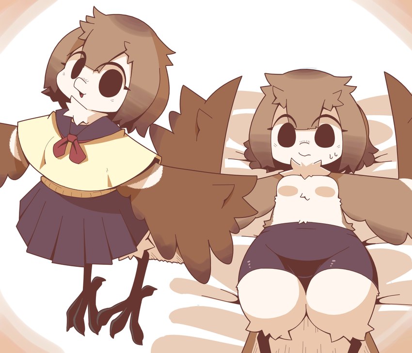 anthro avian_feet bedding bottomwear breasts brown_body clothed clothing eye_through_hair featureless_breasts female flying gradient_background hair hotpants kemono looking_at_viewer lying neck_tuft non-mammal_breasts on_back poncho school_uniform shorts simple_background skirt solo topless translucent translucent_hair tuft uniform white_body winged_arms wings crepix avian bird chat_(bird) old_world_flycatcher oscine passerine redstart saxicoline hi_res