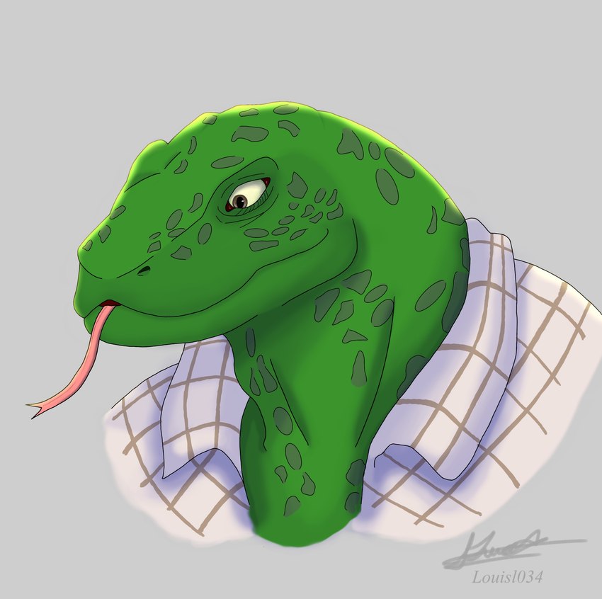 anthro brown_eyes clothed clothing green_body green_scales male open_clothing open_shirt open_topwear realistic_eyes scales shadow shirt simple_background solo tongue tongue_out topwear louisl034 beastars gosha_(beastars) komodo_dragon lizard monitor_lizard reptile scalie absurd_res hi_res shaded