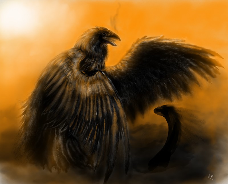 ambiguous_gender black_body black_feathers feathered_wings feathers feral orange_background simple_background solo wings fugueraven avian bird corvid corvus_(genus) crow oscine passerine raven