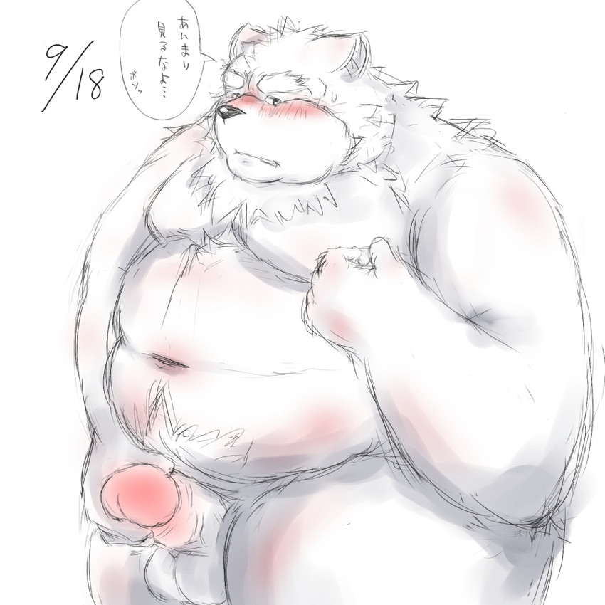 anthro balls belly blush genitals kemono male masturbation moobs navel overweight overweight_anthro overweight_male penile penile_masturbation penis simple_background solo text white_background ibuki_haruno canid canine canis domestic_dog mammal 1:1 2011 japanese_text