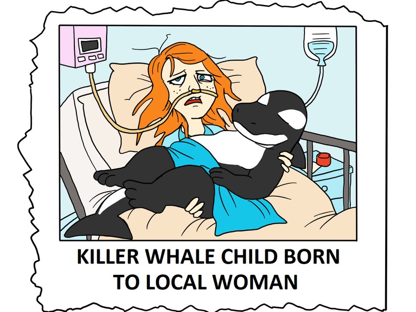 after_birth ambiguous_gender anthro baby bed carrying_another detailed_background duo female furniture hospital hospital_bed humor inside interspecies interspecies_pregnancy looking_at_viewer lying newspaper on_back pregnant text young 60percentscalie family_guy cetacean dolphin human mammal marine oceanic_dolphin orca toothed_whale 4:3 english_text mother_(lore) mother_and_child_(lore) parent_(lore) parent_and_child_(lore)