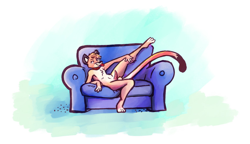 anthro balls collar furniture genitals leg_stretch looking_at_viewer male nude penis presenting simple_background smile smirk sofa solo stretching tapering_penis tongue tongue_out chiggedychew draconicmentalist cougar felid feline mammal digital_media_(artwork)