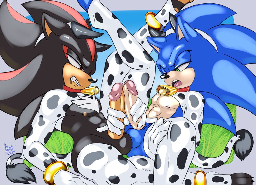 shadow the hedgehog and sonic the hedgehog (sonic the hedgehog (series) and etc) created by aoibeast