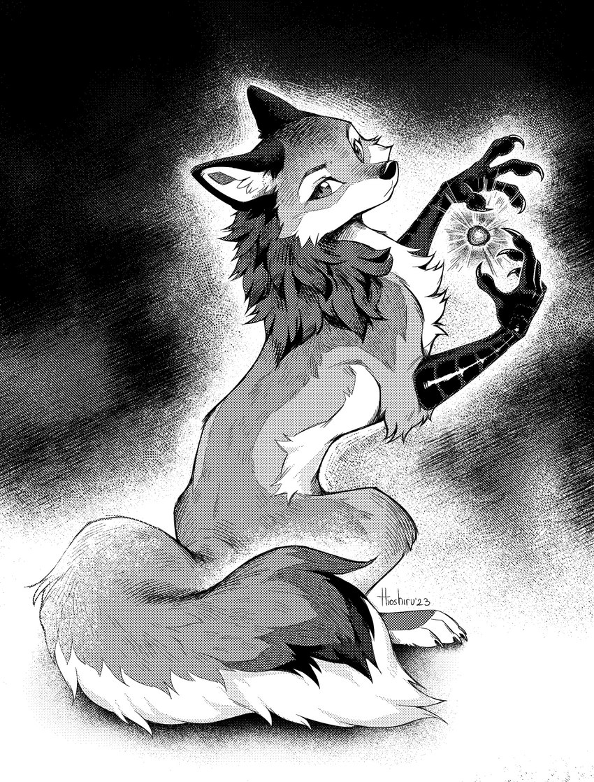 ambiguous_gender claws eyebrows eyelashes feral fingers fluffy fluffy_tail fur inner_ear_fluff looking_at_viewer looking_back magic mane paws semi-anthro sitting solo tail tuft hioshiru hioshiru_(character) canid canine enfield hybrid mammal 2023 digital_media_(artwork) hi_res monochrome