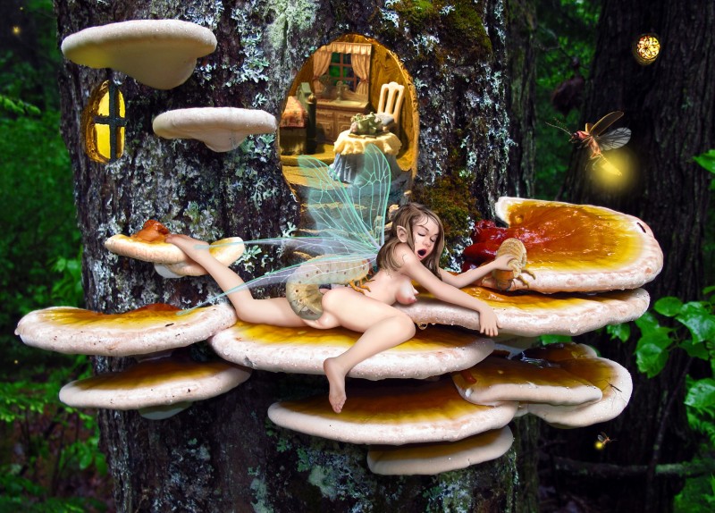 ambiguous_gender bestiality big_breasts breasts fantasy female female/ambiguous feral fomitopsid forest fungus genitals group humanoid_on_feral laetiporus larva moss mushroom nipples not_furry_focus penetration plant puffy_nipples pussy sex tree wings unknown_artist ambient_arthropod ambient_firefly ambient_insect arthropod beetle elateroid faery fairy firefly grub_(insect) humanoid insect winged_humanoid absurd_res hi_res