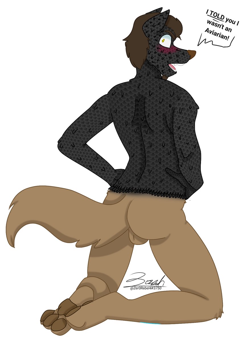 anthro balls black_body black_scales brown_body brown_fur brown_hair butt dialogue fur genitals hair hands_on_hips kneeling looking_at_viewer male mature_male open_mouth pawpads paws rear_view scales scales_with_fur solo talking_to_viewer text yellow_eyes zer0rebel4 brandon_(zer0rebel4) alien aviarian_wolf canid canine mammal marsupial 2022 absurd_res digital_media_(artwork) english_text hi_res maleherm_(lore)