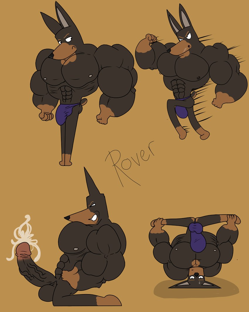 anthro balls big_balls big_biceps big_bulge big_pecs bulge ejaculation erection genitals hyper hyper_genitalia male muscular muscular_male pecs solo kogo rover_(kogo) canid canine canis dobermann domestic_dog mammal pinscher 4:5 absurd_res hi_res