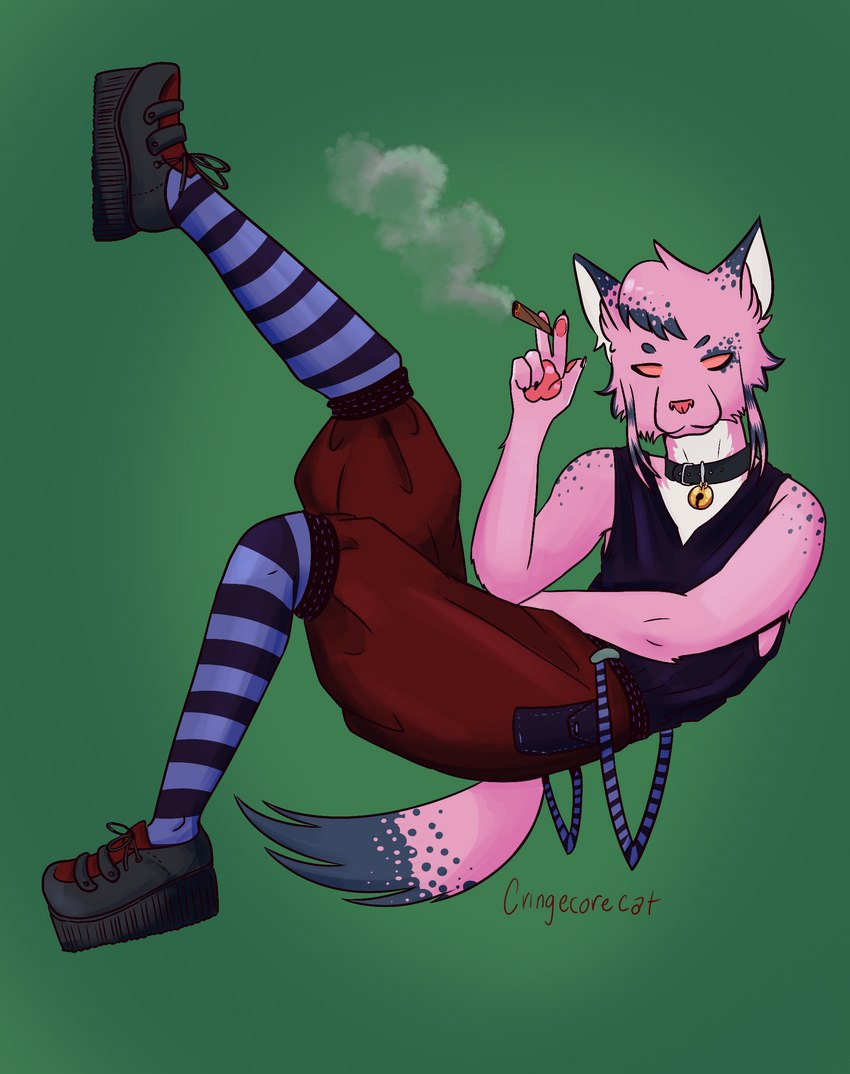 anthro bottomwear chelsea_hair_cut clothing collar coontail_hair creepers demonias drugs ear_tails footwear fur hair legwear male marijuana pink_body pink_fur pink_hair shorts smoke smoking socks solo stripes suspenders thigh_highs thigh_socks cringecorecat kai_(cringecorecat) domestic_cat felid feline felis mammal absurd_res full-length_portrait hi_res portrait