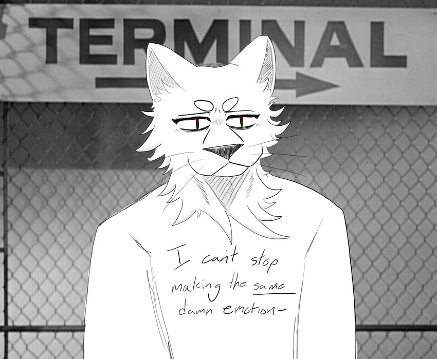 anthro clothed clothing fur male shirt simple_background solo text topwear whiskers thefurryartist43 the_twilight_zone unnamed_character felid feline mammal 2021 digital_drawing_(artwork) digital_media_(artwork) english_text half-length_portrait hi_res portrait