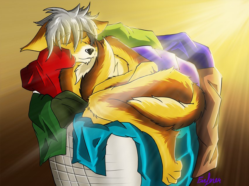 anthro clothes_pile female fur hair happy hiding laundry_basket light nap pillow red_eyes relaxing resting slave sleeping solo sunlight white_hair farfener the-farfener the_farfener links the_auroran_archives azee_(links) canid canine canis coyote mammal wolf 4:3 colored hi_res