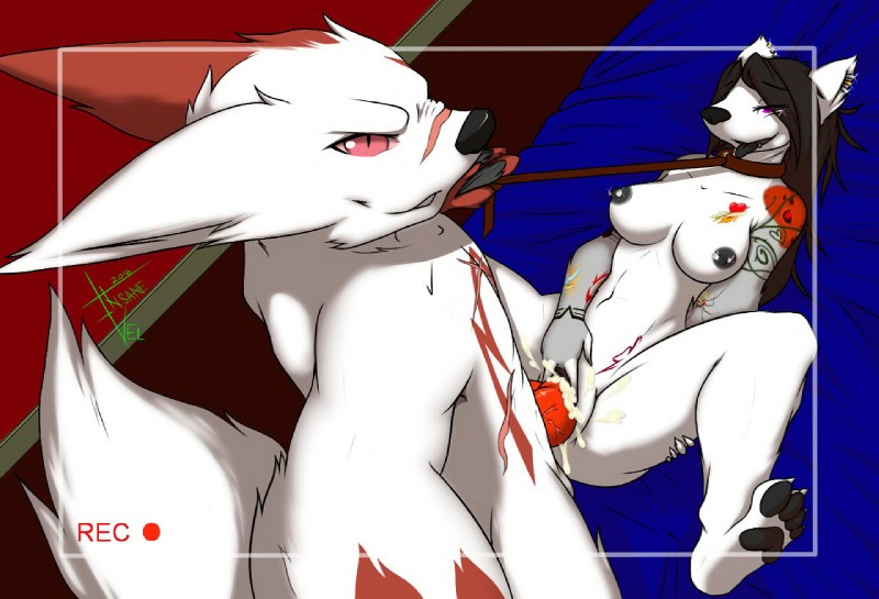 feudal the zangoose and z/ora/ce (nintendo and etc) created by insane lizard vel