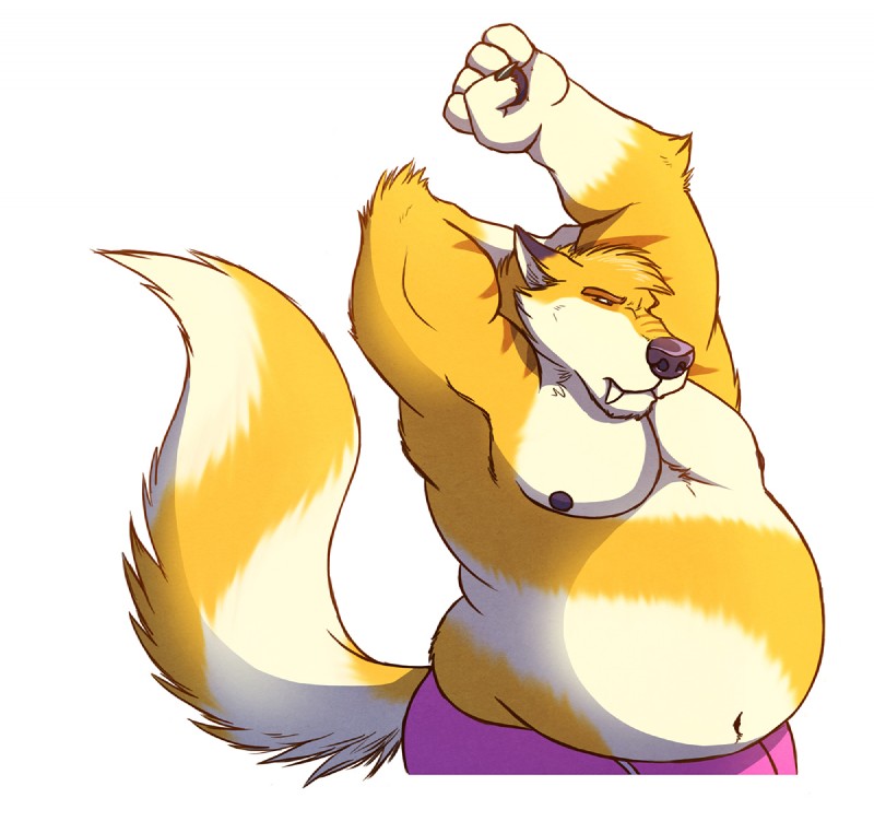 anthro clothed clothing fangs fur male multicolored_body multicolored_fur navel nipples overweight overweight_male purple_nose simple_background solo stretching teeth topless underwear white_background white_body white_fur yellow_body yellow_fur skaifox skai canid canine canis fox mammal 2018 digital_media_(artwork)