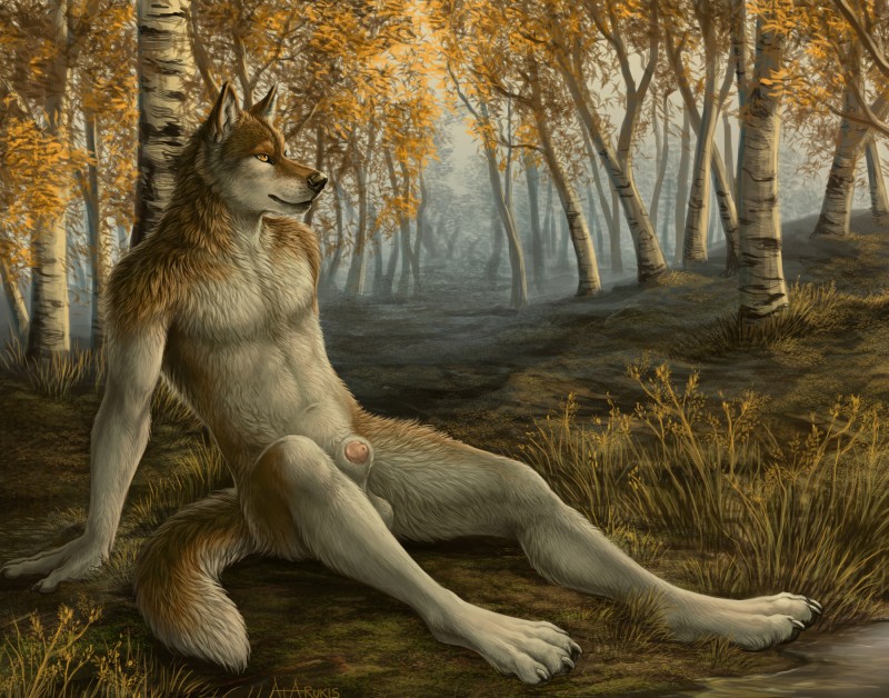 amazing_background animal_genitalia animal_penis anthro autumn balls birch_tree black_nose black_pawpads brown_body brown_fur canine_genitalia canine_penis claws colored_nails creek detached_sheath detailed_background detailed_fur digitigrade feet fog forest fur genitals grass half-erect hindpaw male markings nails nature navel nude outside pawpads paws penis penis_tip pink_penis plant reclining resting sheath sitting solo tail toe_claws tree water whisker_markings whisker_spots white_balls white_body white_claws white_fur white_nails white_sheath yellow_eyes rukis stormwolff canid canine canis mammal wolf 2015 absurd_res detailed hi_res