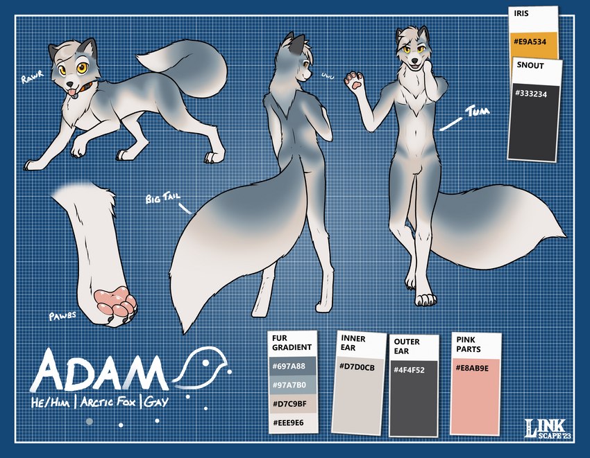 4_fingers anthro bell bell_collar biped claws collar color_swatch eyebrows feral fingers male pawpads paws pink_pawpads pink_tongue quadruped solo tail text tongue tongue_out linkscape adam_(linkscape) arctic_fox canid canine fox mammal true_fox english_text hi_res model_sheet