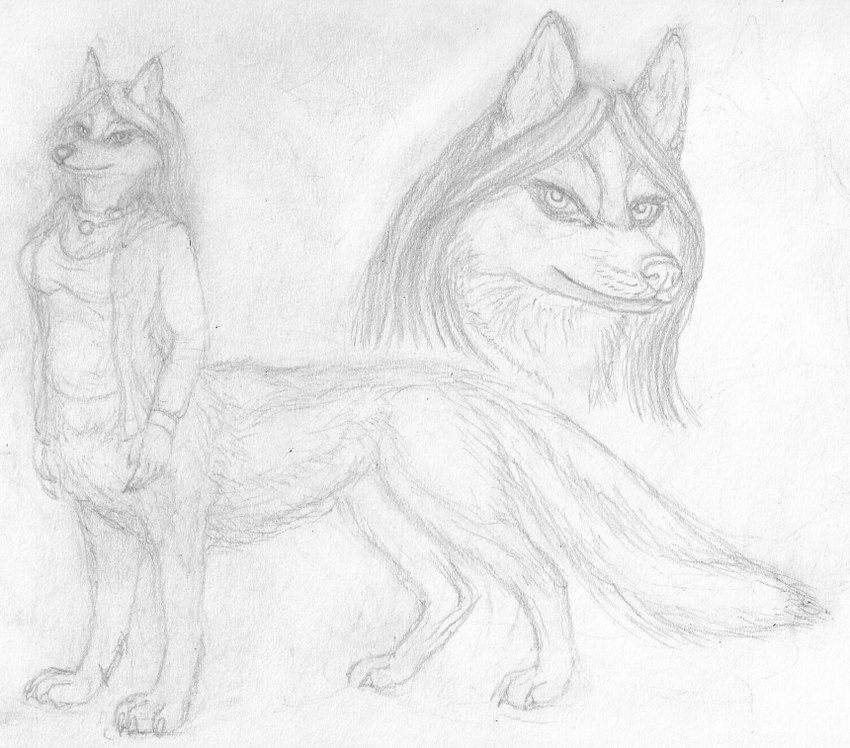 5_fingers blouse bottomless bottomless_female bottomless_taur breasts claws clothed clothing collar digitigrade eyebrows female finger_claws fingers fluffy fluffy_tail hair looking_at_viewer medium_breasts quadruped simple_background solo standing tail toe_claws topwear topwear_only white_background chukchi_husky canid canid_taur canine canine_taur canis dog_taur domestic_dog mammal mammal_taur taur 2023 full-length_portrait graphite_(artwork) greyscale monochrome portrait traditional_media_(artwork) herm_(lore)