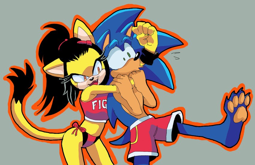 4_toes anthro barefoot bikini bottomwear chokehold claws clothing colored-in duo feet female male male/female orange_outline outline pawpads paws pink_pawpads plantigrade shorts soles swimwear toes two-piece_swimsuit wrestling fuckwolfamy sega sonic_the_fighters sonic_the_hedgehog_(series) honey_the_cat sonic_the_hedgehog domestic_cat eulipotyphlan felid feline felis hedgehog mammal shaded