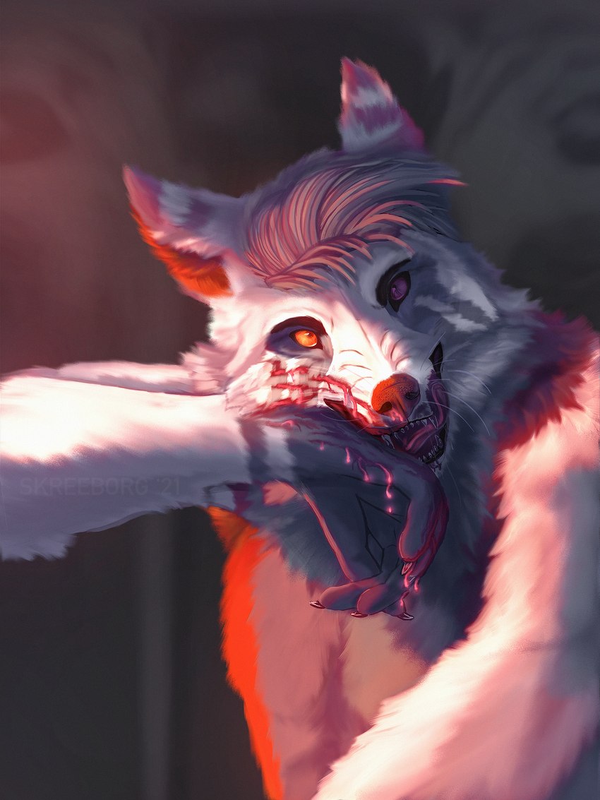 anthro blood blood_on_hand bodily_fluids fangs fur hair heterochromia looking_at_viewer open_mouth scratches solo teeth tongue whiskers white_body white_fur screechborg canid canine canis mammal wolf 2021 3:4 hi_res