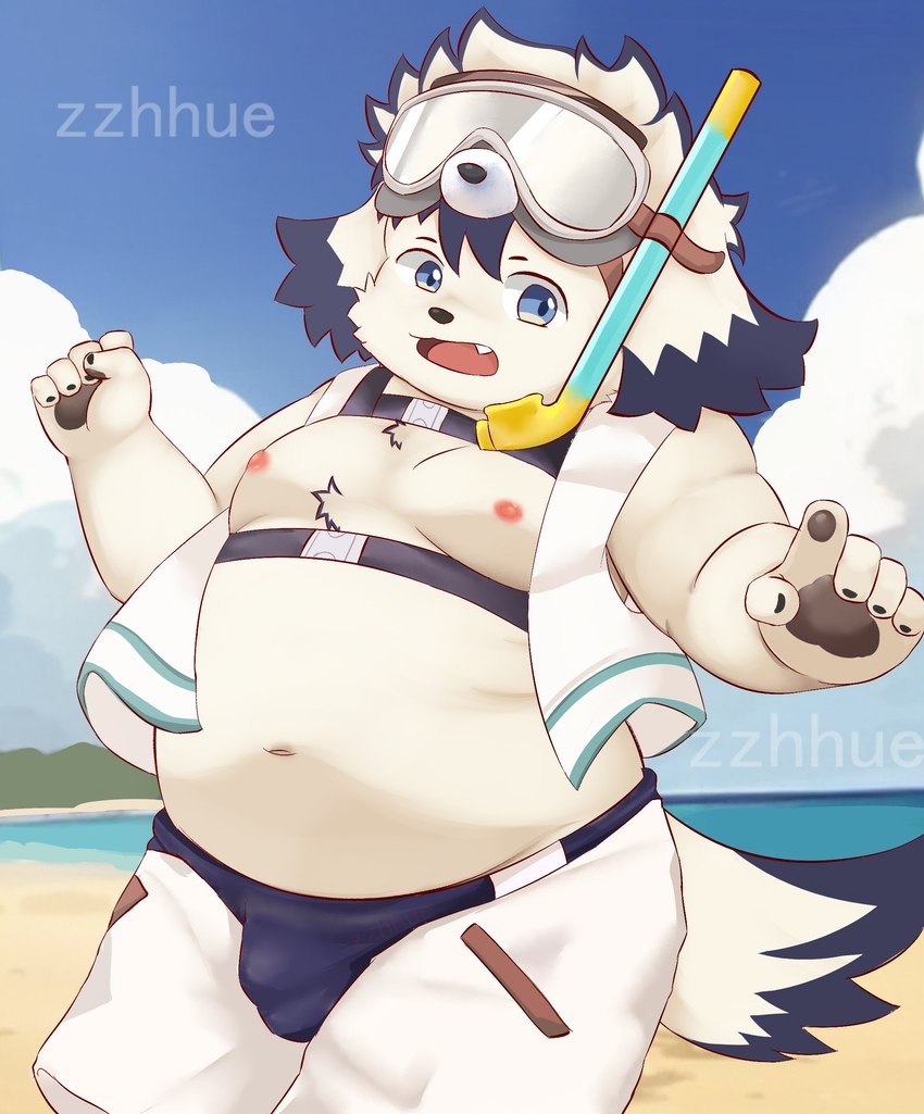 anthro beach belly blue_eyes bottomwear bulge clothing eyewear floppy_ears fur goggles male moobs navel nipples overweight overweight_male pawpads seaside shorts snorkel solo white_body white_fur zzhue tamacolle tajima_(tamacolle) canid canine canis domestic_dog mammal absurd_res hi_res