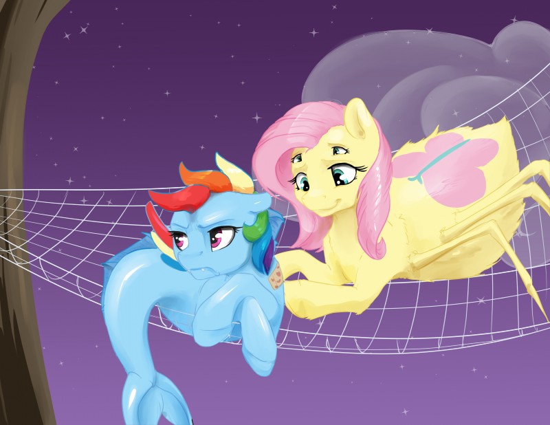 fluttershy and rainbow dash (friendship is magic and etc) created by silfoe