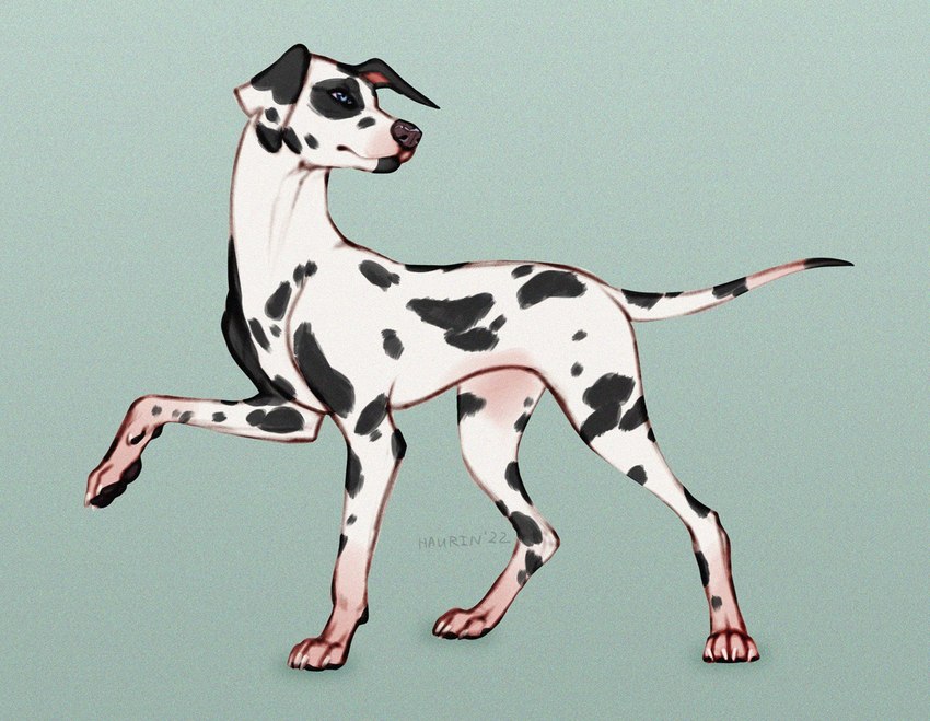 4_toes ambiguous_gender blue_eyes feet feral solo standing toes hauringu canid canine canis dalmatian domestic_dog mammal 2022 digital_media_(artwork)