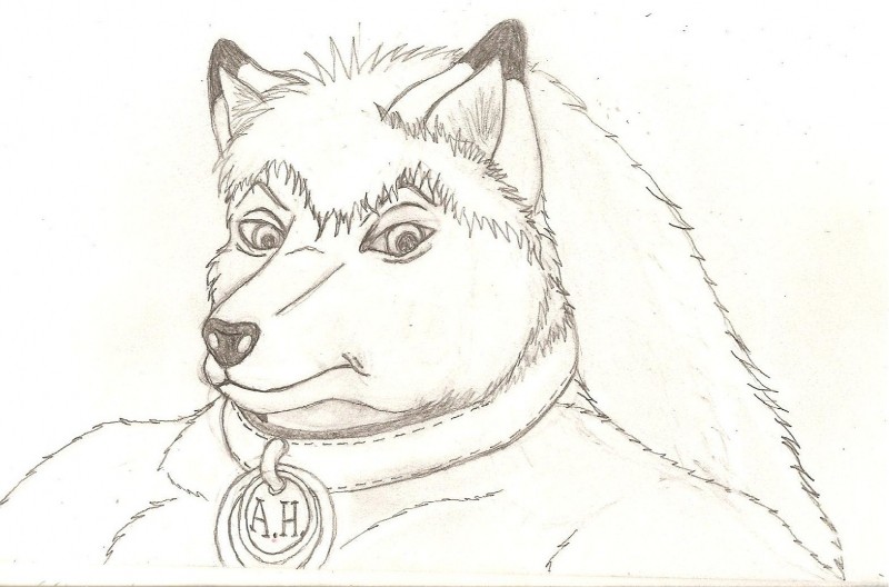 alex_husky anthro biped collar collar_tag front_view male solo three-quarter_view jt canid canine canis domestic_dog husky mammal nordic_sled_dog spitz bust_portrait graphite_(artwork) greyscale monochrome portrait traditional_media_(artwork)