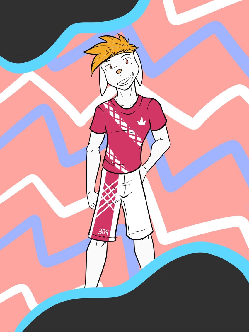 abstract_background anthro anthrofied bottomwear clothed clothing fully_clothed male pokemorph shirt shorts solo t-shirt topwear fuze nintendo pokemon king_(fuze) generation_8_pokemon pokemon_(species) raboot 3:4 hi_res