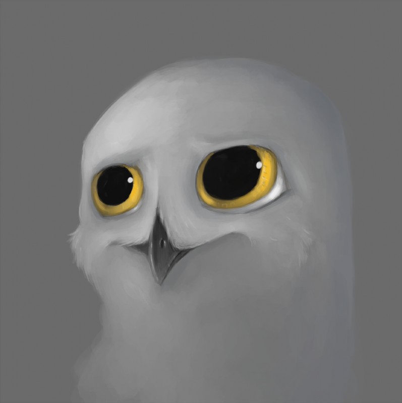 :| ambiguous_gender anthro beak big_pupils cheek_tuft dilated_pupils distraught facial_tuft feather_tuft feathers front_view grey_background grey_body grey_feathers nose_tuft pupils simple_background solo tuft wide_eyed yellow_eyes nyar owen_evans avian bird horned_owl owl snowy_owl true_owl digital_media_(artwork) headshot_portrait icon portrait reaction_image