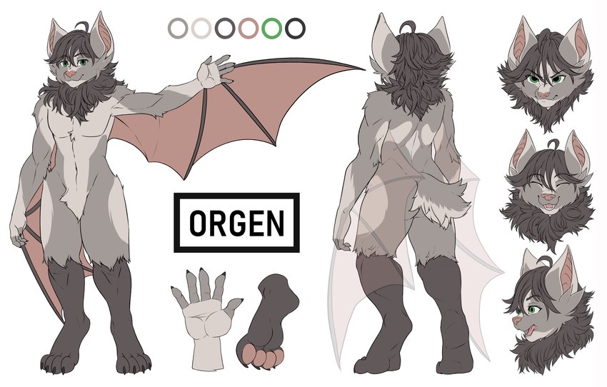 anthro black_nails colored_nails eyebrows fluffy fluffy_chest fluffy_tail fur fur_markings green_eyes grey_body grey_fur grey_hair hair male markings membrane_(anatomy) membranous_wings nails pawpads paws pink_membrane pink_nose solo tail wing_bones winged_arms wings fycroh liltaiga4 danglebat orgen_(danglebat) bat humanoid mammal absurd_res digital_media_(artwork) hi_res model_sheet