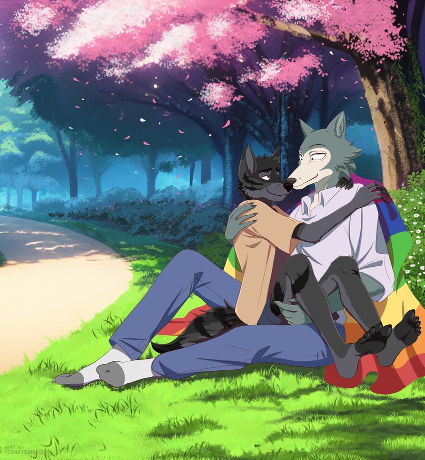 adolescent anthro clothing cuddling flag footwear lgbt_pride male male/male meadow outside pride_color_flag pride_colors rainbow_pride_colors shirt six-stripe_rainbow_pride_colors smile socks text topwear wearing_flag young tommysamash beastars alex_nightmurr legoshi_(beastars) canid canine canis mammal wolf absurd_res english_text hi_res story story_in_description