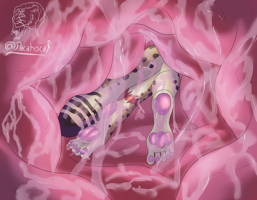 anthro anthro_prey brand duo feet foot_focus fur humanoid_feet inside_stomach internal male organs pawpads plantigrade spots stomach tail unseen_pred vore yellow_body yellow_fur pacahocaf paca_afgara cheetah felid feline mammal reptile scalie snake absurd_res digital_media_(artwork) hi_res