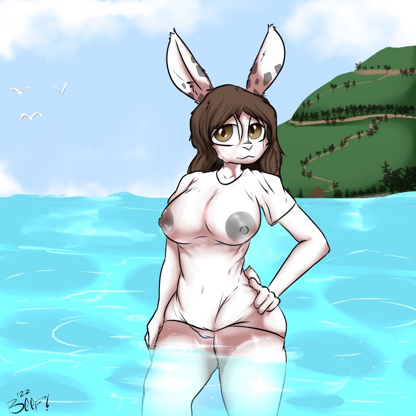 anthro areola breasts clothed clothing female fur genitals glistening glistening_body hair lake looking_at_viewer nipples nude outside pussy seascape sky smile solo swimming thick_thighs topwear translucent translucent_clothing water wet wet_clothing beep! fadeout_underground friday_(fadeout) lagomorph leporid mammal rabbit 1:1 hi_res