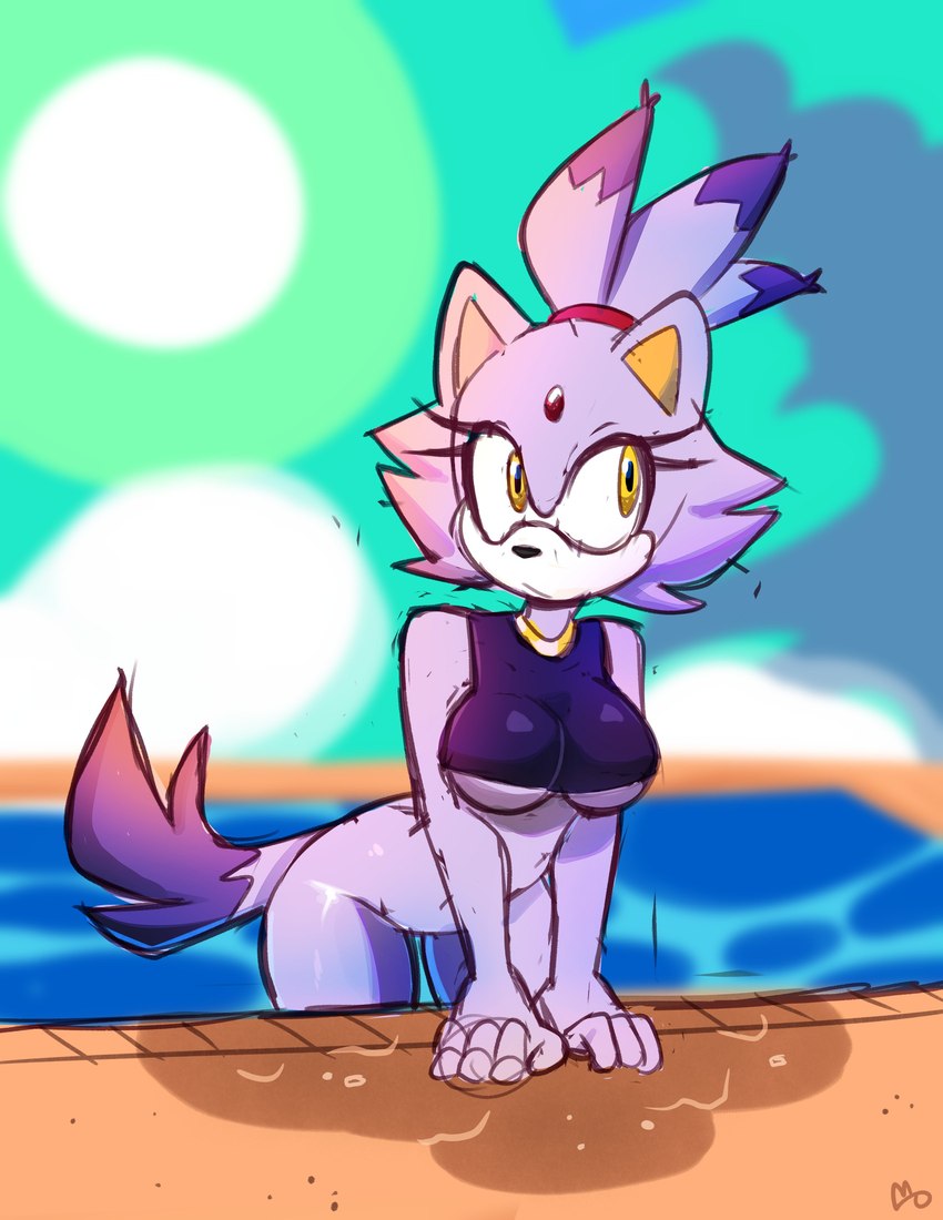 anthro bottomless breasts casual_exposure clothed clothing female forehead_gem gem solo under_boob monamania sega sonic_the_hedgehog_(series) blaze_the_cat domestic_cat felid feline felis mammal absurd_res hi_res