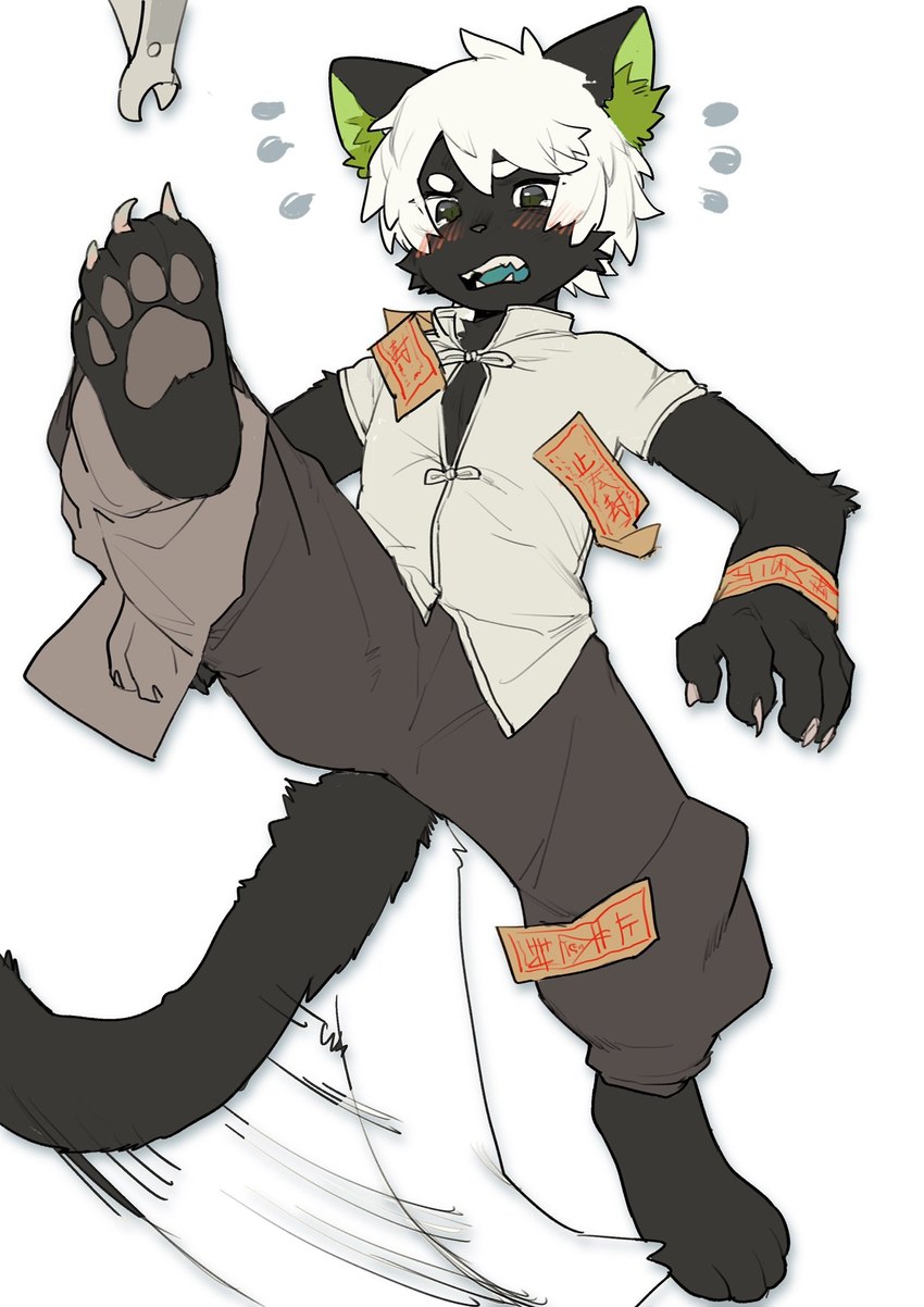 4_toes anthro asian_clothing barefoot black_body black_fur blush blush_lines cheek_tuft chinese_clothing claws clothed clothing duo east_asian_clothing facial_tuft feet fur fur_tuft hair hindpaw inner_ear_fluff kemono leg_grab male open_mouth pawpads paws plantigrade shota soles tail tail_motion tailwag taoist_talisman toes tuft white_hair young young_anthro milkybot the_legend_of_luo_xiaohei luo_xiaohei domestic_cat felid feline felis mammal hi_res