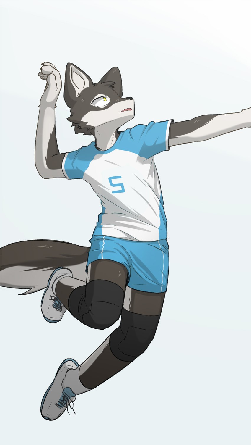 anthro athletic_wear black_body black_fur black_knee_pads black_nose blue_bottomwear blue_clothing blue_gym_shorts blue_shirt blue_shorts blue_t-shirt blue_topwear bottomwear cheek_tuft clothing countershade_face countershading facial_tuft footwear fur gym_bottomwear gym_shorts knee_pads male midair multicolored_body multicolored_fur number_on_clothing shirt shoes shorts side_view simple_background sneakers socks solo t-shirt topwear tuft white_background white_body white_clothing white_footwear white_fur white_shirt white_sneakers white_socks white_t-shirt white_topwear yellow_eyes carbine_wolf canid canine canis domestic_dog mammal full-length_portrait hi_res portrait