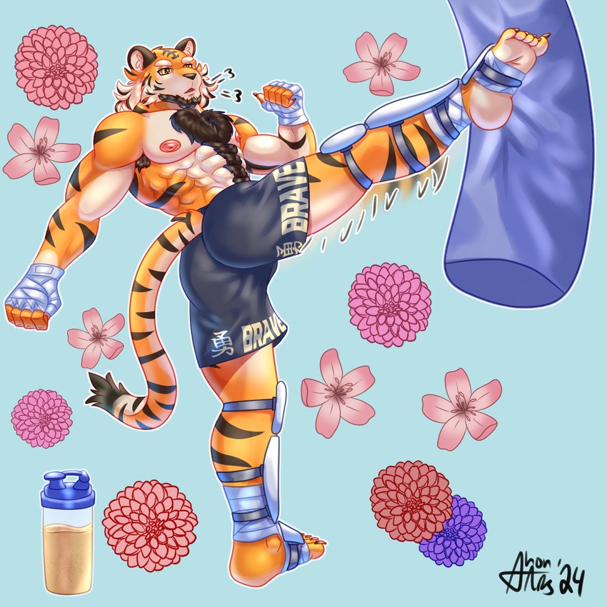 abs action_pose anthro areola armpit_hair athletic bandage bandaged_foot bandaged_hand beard beverage biped body_hair bottomwear breath butt butt_focus chest_fur chest_hair chest_tuft claws clothed clothing eyebrows facial_hair feet fingers fist floral_background focused food fur hair humanoid_feet leg_guards male male_anthro motion_blur motion_lines muscular muscular_anthro muscular_male nipples open_mouth pecs plantigrade pose punching_bag raised_leg shorts simple_background solo stripes tail text topless tuft shon_arts felid mammal pantherine tiger 1:1 2024 artist_name colored digital_drawing_(artwork) digital_media_(artwork) full-length_portrait hi_res portrait shaded signature