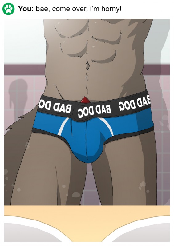 abs animal_genitalia animal_penis anthro bathroom blue_clothing blue_underwear briefs bulge canine_genitalia canine_penis clothing crotch_shot faceless_character faceless_male fluffy fluffy_tail fur genitals grey_body grey_fur inside male mirror muscular muscular_anthro muscular_male navel penis penis_poking_out red_penis reflection sink solo standing tail text underwear ariesartist canid canine canis domestic_dog mammal english_text hi_res