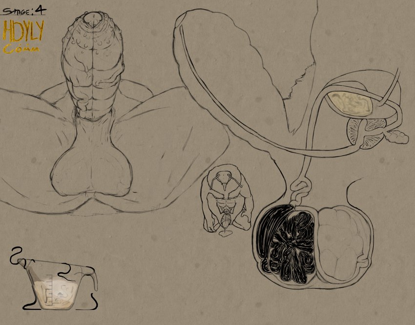 anthro ball_bulge ball_growth ball_inflation balls balls_expansion bladder bodily_fluids body_hair cock_vore cum cum_in_a_cup cum_in_container cutaway diagram digitigrade dripping epididymis erection expansion foreskin front_view genital_expansion genital_fluids genital_growth genitals glans gooning growth infestation infested_cum infesticles internal leaking_precum logo male masturbation neck_tuft nipple_piercing nipples nude nude_anthro nude_male organs parasite penile penis piercing precum precum_drip precum_on_ground precum_string prostate pubes side_profile side_view tuft urethra urethra_worm urethral urine vein veiny_penis vore hdyly miel_the_bumblebee anthro_insect arthropod bee bumble_bee_(species) hymenopteran insect series_(disambiguation) absurd_res artist_logo artist_name digital_media_(artwork) hi_res line_art signature