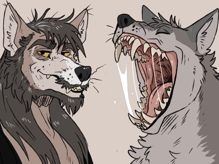 anthro beard black_nose bodily_fluids brown_body brown_ears brown_fur dark_hair duo facial_hair fangs fur glistening glistening_nose glistening_tongue grey_beard grey_body grey_ears grey_facial_hair grey_fur grey_hair grey_inner_ear grey_inner_ear_fluff hair inner_ear_fluff male messy_hair mouth_shot open_mouth red_tongue saliva saliva_string simple_background smile tan_teeth teeth tongue tuft imperatorcaesar canid canine canis mammal wolf 4:3 hi_res