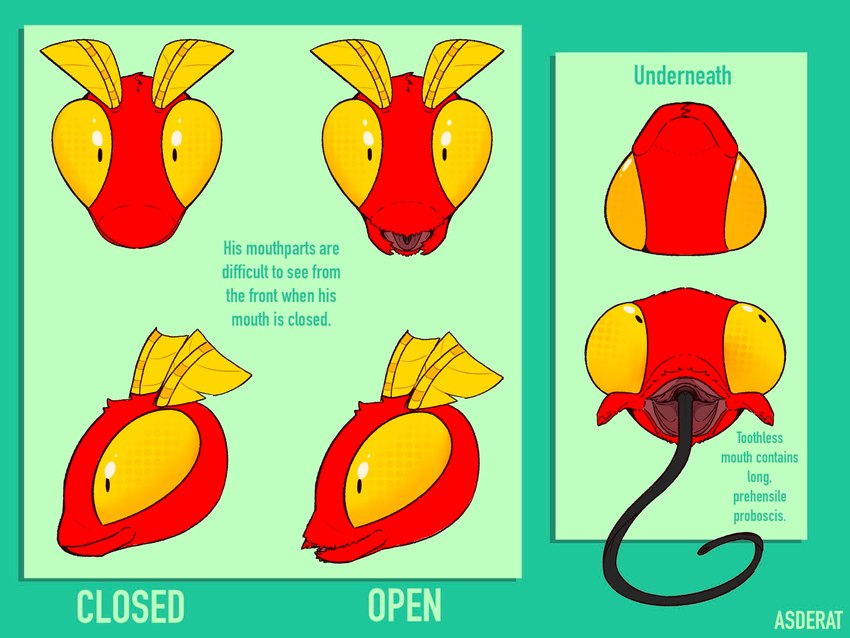 antennae_(anatomy) anthro compound_eyes male mouth_shot open_mouth proboscis_(anatomy) pseudo_pupils solo tongue tongue_out asderat vega_frith arthropod cecropia_moth insect lepidopteran moth saturniid 4:3 headshot_portrait hi_res model_sheet portrait