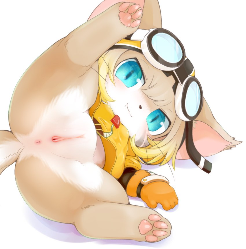 4_toes 5_fingers anthro anus big_eyes black_nose blonde_hair blue_eyes blue_pupils bottomless brown_body brown_ears brown_fur brown_hair brown_tail butt chibi clothed clothing countershade_face countershade_tail countershade_torso countershading cute_fangs dark_pupils digitigrade eyewear eyewear_on_head fangs feet female female_anthro fingers fur genitals gloves goggles goggles_on_head hair handwear hindpaw hood hoodie iris kemono light light_body light_fur light_hair light_tail loli looking_at_viewer lying multicolored_body multicolored_fur multicolored_hair on_side one_leg_up orange_clothing orange_gloves orange_handwear pawpads paws pink_anus pink_inner_ear pink_pawpads pink_pussy pointy_ears presenting presenting_pussy prick_ears pupils pussy raised_leg semi-anthro side_view simple_background smile smiling_at_viewer solo spread_legs spreading tail teeth toes topwear two_tone_body two_tone_fur two_tone_hair two_tone_tail whiskers white_background white_body white_countershading white_fur white_tail yellow_clothing yellow_hoodie yellow_topwear young young_anthro young_female zipper canopus335 cat_busters pacman_(cat_busters) domestic_cat felid feline felis mammal 2019 colored digital_drawing_(artwork) digital_media_(artwork) full-length_portrait lighting portrait shaded soft_shading