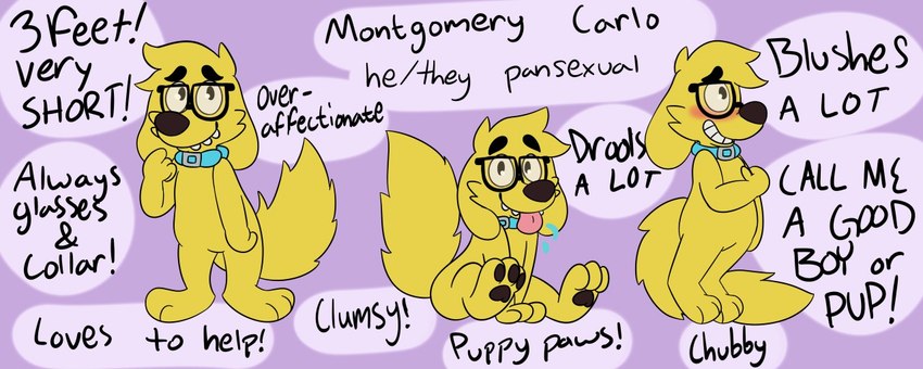 anthro black_pawpads blue_dog_collar dool eyewear fur glasses height male open_mouth pawpads pronouns purple_background simple_background solo teeth_showing text tongue tongue_out yellow_body yellow_fur montypup montgomery_carlo canid canine canis domestic_dog mammal english_text