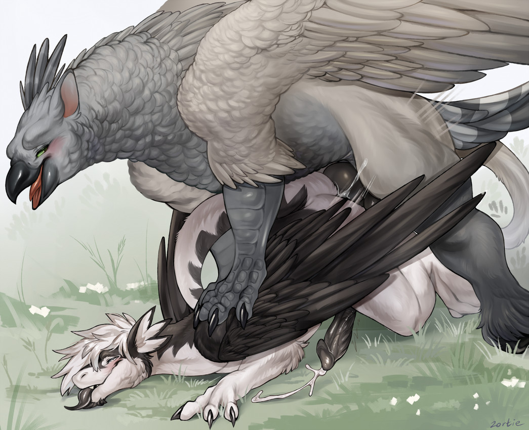 anal anal_penetration beak big_knot big_penis black_penis claws doggystyle duo erection feathered_wings feathers feral from_behind_position fur genitals green_eyes grey_body grey_feathers interspecies knot looking_pleasured male male/male on_grass penetration penile penile_penetration penis penis_in_ass quadruped scuted_legs scutes sex tail tail_tuft tongue tongue_out tuft white_body wings zortie mythology avian dragon furred_dragon furred_scalie gryphon mythological_avian mythological_creature mythological_scalie scalie hi_res