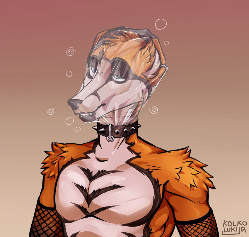 anthro armwear asphyxiation bagging breath breath_play clothing collar dizzy ear_piercing ear_ring erotic_asphyxiation fishnet_armwear fishnet_clothing half-closed_eyes male narrowed_eyes piercing plastic_wrap ring_piercing solo spiked_collar spikes kolkolukija saerro canid canine fox mammal