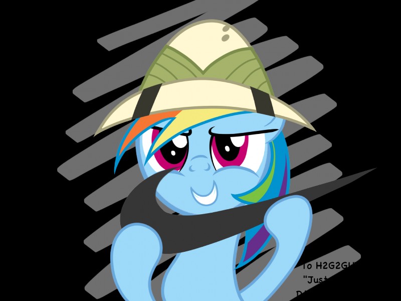 blue_body blue_fur clothing female fur hair hat headgear headwear multicolored_hair purple_eyes rainbow_hair simple_background solo text transparent_background daringdashie friendship_is_magic hasbro my_little_pony nike rainbow_dash_(mlp) equid equine horse mammal pony 2013 4:3 alpha_channel bust_portrait digital_media_(artwork) english_text hi_res portrait